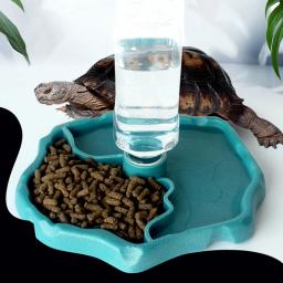 Alimentador de répteis para répteis e anfíbios, prato de comida tartaruga, tigela pequena para animais, suprimentos removíveis e fáceis de limpar, 1pc - Image 6