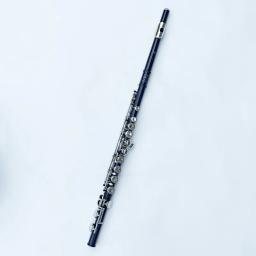 Japão 212 preto 16 buracos flauta instrumento de sopro fechado chave adicionar a chave e c tom niquelado concerto flauta com caixa de música - Image 1
