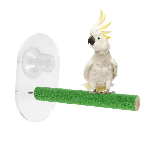 Suporte de Poleiro para Pássaros com Ventosa - Ideal para Papagaios, Resistente a Mordidas, Perfeito para Janela, Banho e Viagens de Carro