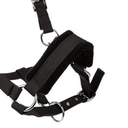 Equipamento estável acolchoado macio da corrida dos cavalos do colar da cabeça do halter do cavalo da espiga - Image 6