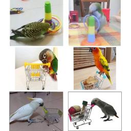 Pássaro brinquedos para periquitos 4-kind conjunto aves mastigando e jogando brinquedos tamanho adequado melhorar a capacidade de discriminação de cor - Image 5