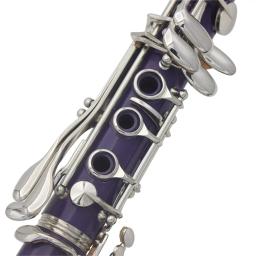 SLADE-Clarinete Profissional com Acessórios Bolsa, Bb, 17 Chaves, 6 Anéis, Roxo, Sopros, Instrumentos Musicais - Image 2