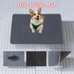 Almofada de urina lavável, Almofada de treinamento reutilizável impermeável para cachorro, Tapete de urina para cães - Image 1