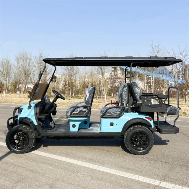 DYLANTE Carrinho de Golfe Elétrico VIP 6 Lugares