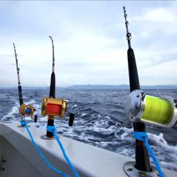 Conjunto de 2 peças para caiaque remo, acessórios de pesca, em espiral, 5 a 7 pés - Image 6