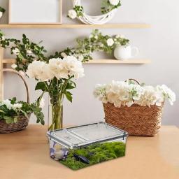Terrário de plástico transparente para répteis, transporte de insetos e répteis, reprodução de alimentos vivos, caixa de alimentação - Image 4