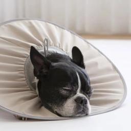 Colar médico protetor anti-mordida para recuperação de animais, Colar ajustável para gato e cachorro, Colar de recuperação de cone - Image 4