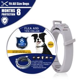 Ajustável Pet Anti-Flea e Tick Collar, repelente de estimação destacável, anti-parasita, 8 meses de proteção, acessórios para cão e gato - Image 5