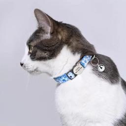 Coleira de nylon personalizada com sino para animais de estimação, coleiras anti-perdidas, colar personalizado, coleiras de cachorro e gato, presente para cães e gatos pequenos - Image 5