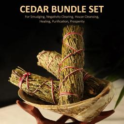 Palo santo incenso natural varas de madeira borbulhamento queimar fumegante vara sálvia smudge kit sala incenso aromaterapia yoga meditação - Image 2