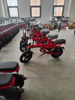 Bicicleta elétrica de íon de lítio para adultos, bicicleta leve de liga de magnésio para homens e mulheres, bicicleta assistida por energia - Image 3