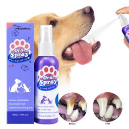 Pet Dentes Limpeza Spray, Calculus mancha removedor, gatinho desodorante, mau hálito tratamento, Oral Care Tool, Dog Cat Desodorante - Image 3