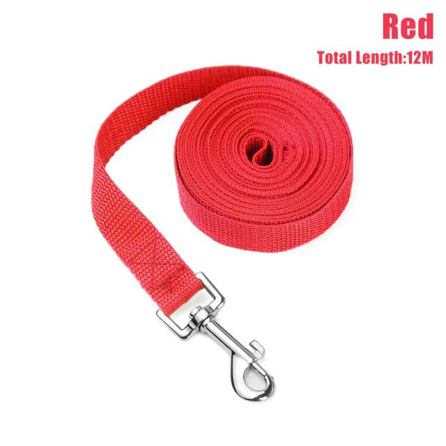 Trela Chumbo Flexível para Cães - Ideal para Andar, Treinamento e Conforto com Arnês e Coleira
