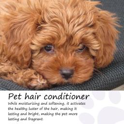 Condicionador de Cabelos para Cães e Gatos, Creme Skim Gentil para Cães, Fofo, Cabelos Peludos, Multifuncional, 50ml - Image 2