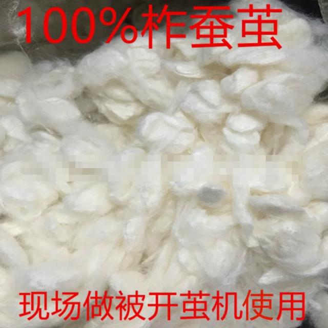 Fibra Crua de Seda Amoreira 100% - Enchimento de Alta Qualidade, 500g de Mulberry Double