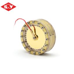 ShuaiYin Soy 100 Mylar Microfone Condensador Cápsula para Tubo Mic, Único Ouro 24K, 6mm, 32 mm - Image 2