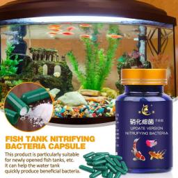 Purificador De Água De Tanques De Peixes Condicionador De Nitrificação De Água Doce Estabilizador De Purificação Degradação Rápida De Água Para Tanques De Peixes - Image 3