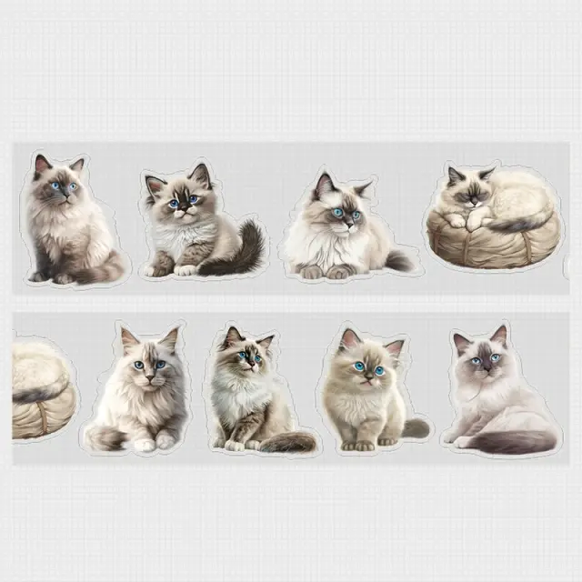 Fita Adesiva Impermeável Mr. Paper - Gato Adorável para DIY, 6 Estilos, 200cm por Rolo