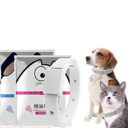 Coleira de Silicone Anti-Flea Pet, Coleira Tick para Cães e Gatos Pequenos, Acessórios para Animais de Estimação, 8 meses - Image 1