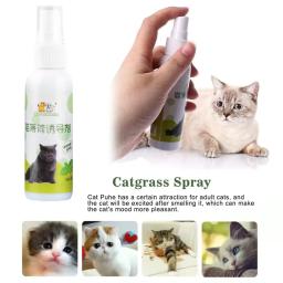 Cat Catnip Spray saudável ingredientes, gatinhos hortelã, Pet Toy, saudável, engraçado, suprimentos naturais, gatos arranhando, gatinho, A6P2, 1 pc - Image 1