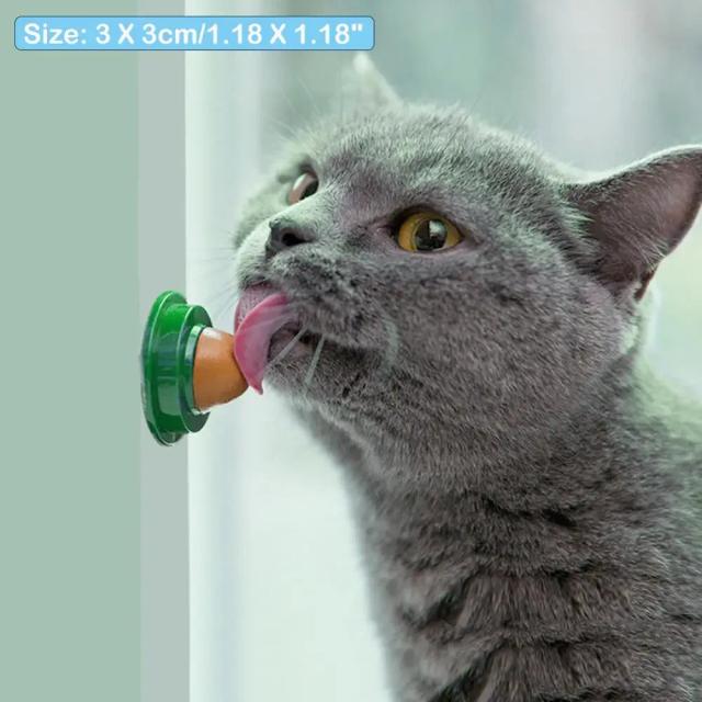 Petiscos Saudáveis para Gatos: Delícias com Catnip, Gel Nutricional e Brinquedo para Hidratação