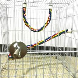 Colorido Parrot Rope Hanging, Trançado Budgie Bird Cage, Cockatiel Toy, Pet Stand Acessórios, Escada Swing Suprimentos, 40 cm, 60 cm, 80 cm, 105cm - Image 6