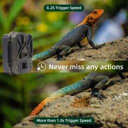 Câmera de caça ao ar livre, 50mp, 4k, com bateria de lítio de 8000mah, visão noturna, armadilhas fotográficas, armadilha de vigilância selvagem, jogo cam - Image 6