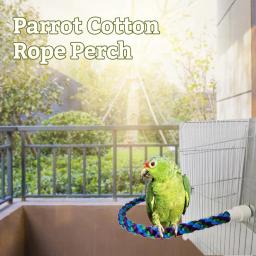 Aves suporte de poleiro brinquedos árvore selvagem vara pendurado trançado mastigar corda gaiola treinamento brinquedo para galhos pássaro gaiola de brinquedo acessórios - Image 2