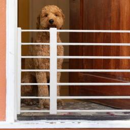 Curto Pet Dog Gate, Pet Cerca Barreira, cerca retrátil, Portas Escadas, Corredor, Baixa Segurança, fácil instalação, portátil - Image 5