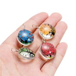 Colar De Pingente De Cristal De Vidro Oval, Real Flor Seca, Jóias Fazendo Acessórios, Colares DIY, 20x29mm, 5Pcs por lote - Image 6