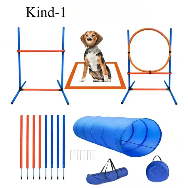 Equipamentos Completo para Treinamento de Agilidade Canina: Túnel, Obstáculos, Barra de Salto e Saco de Transporte