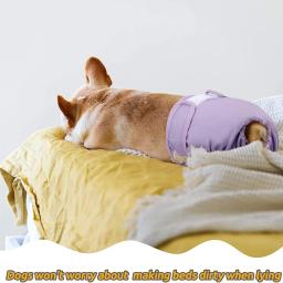 Cachorro fralda shorts para filhote de cachorro grande cão feminino calças fisiológicas sanitárias calcinha ajustável reutilizável pequeno cueca do cão cuecas - Image 4