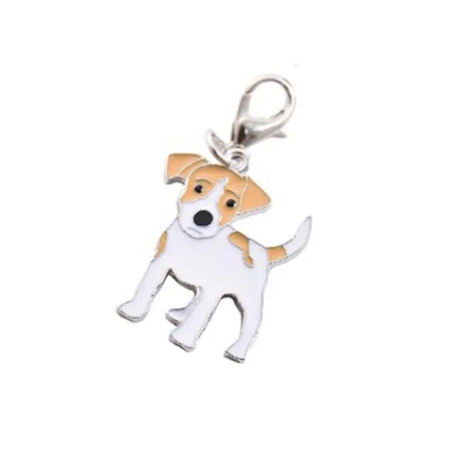 Identificação Personalizada para Cachorros e Gatos: Placa com Pingente e 5 Estilos de Coleira