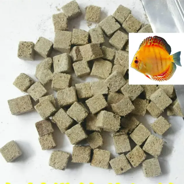 Cubo Vermelho Seco para Aquário: Ferramenta Essencial para Peixes Worm