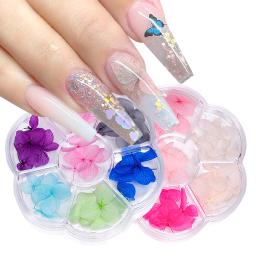 6 cores/caixa 3d flor seca natural pequena folha natural floral adesivo da arte do prego applique manicure decoração pressionado flores secas - Image 1