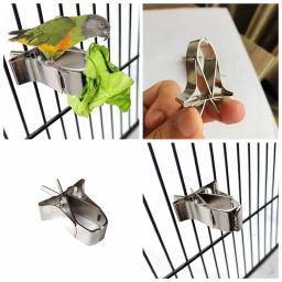 Suporte de alimentos durável para aves de estimação, papagaio alimentação, fruta, Vegtable Clip, Alimentador Dispositivo, Pin Clamp, Household Supplies, Bird Cage Acessório - Image 4