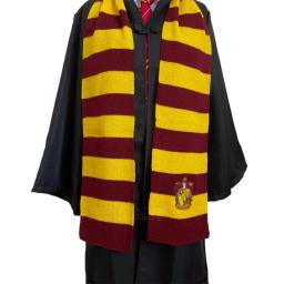 Cachecol vermelho da Academia Mágica para adultos e crianças, festa temática de férias, acessórios, cachecol quente, unissex, cosplay - Image 2