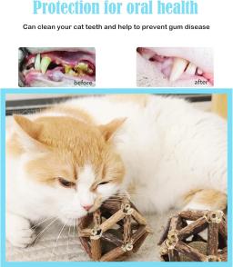 Brinquedos interativos para animais de estimação para gatos indoor, limpeza dos dentes, quebra-cabeça dos dentes, bola de hortelã, brinquedo esportivo - Image 4