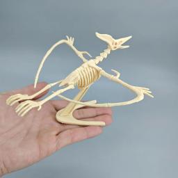 Dinossauro jurássico fóssil esqueleto, montagem DIY, figura de ação Mosasaurus Tyrannosaurus, modelo criativo coleção, brinquedo do miúdo - Image 6