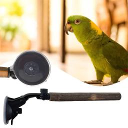 Wooden Parrot Perch Stand com ventosas para aves pequenas e médias, Evitar deslizamento, Interactive Window Perch - Image 4