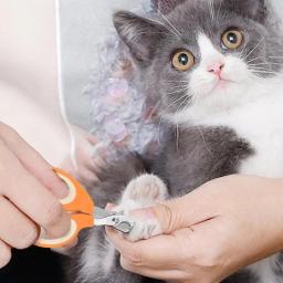 Cão cortador de unhas animais de estimação cortador de unhas e aparadores clippers para evitar o excesso de corte livre arquivo de unhas lâmina afiada ferramentas para animais de estimação - Image 4