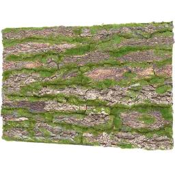 Terrário de cortiça fundo animais réptil árvore casca decoração para répteis tubo de esgoto - Image 5