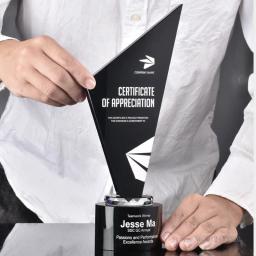 Troféu De Estilo De Lâmina De Cristal Personalizado, Prêmio De Honra Negra, Decoração De Casa, Lembrança, Prêmio De Alta Qualidade - Image 2