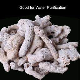 Filtro Biológico Natural Do Osso De Coral, Mídia De Aquário, Acessórios Do Tanque De Peixes, 100g, 250g, 500g - Image 5