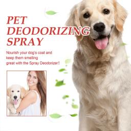 Spray Desodorante para Pet, Desodorante Interior para Gatos e Cães, Desodorante para Perfume de Urina, Fresco e Purificar - Image 2