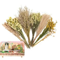 Nature Flower Herb Bedding Decor, Hamster Cage Suprimentos para Gerbils Coelho e Outros Pet Pequeno - Image 6