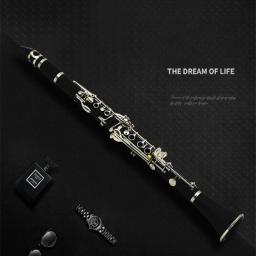 Clarinete Tenor em Bb com Caixa, 17 Chaves, Baquelite, Profissional, Instrumento de sopro, Palhetas Instrumento musical - Image 5