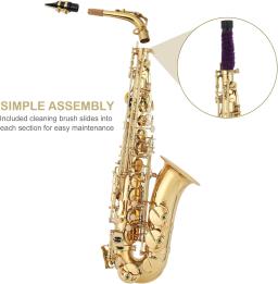 Saxofone Eb Alto com Case Strap, ouro lacado, instrumento profissional de sopro, Sax E Flat, peças de instrumento musical - Image 4