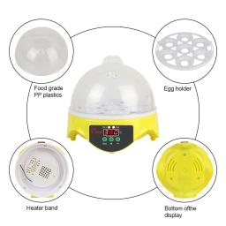 Incubadora automática inteligente de temperatura constante de 7 peças de tamanho pequeno para incubar galinhas, patos e codorniz. - Image 5