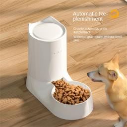 Bacia de ração plástica não tóxica para animais de estimação, segura, de grande capacidade, antiviragem, gato, cachorro, tigela, multifuncional, suprimentos - Image 2